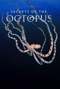 دانلود سریال Secrets of the Octopus401286-193726164