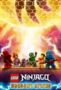 دانلود انیمیشن Ninjago: Dragons Rising402689-2080947801