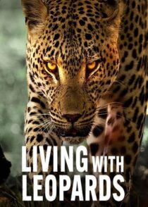 دانلود مستند Living with Leopards 2024400477-816722833