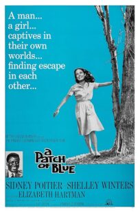 دانلود فیلم A Patch of Blue 1965409977-763985221