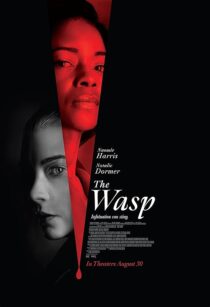 دانلود فیلم The Wasp 2024411027-367834513