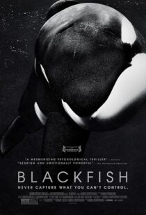 دانلود فیلم Blackfish 2013412328-1974714672