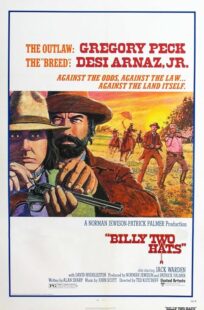 دانلود فیلم Billy Two Hats 1974411057-682879989