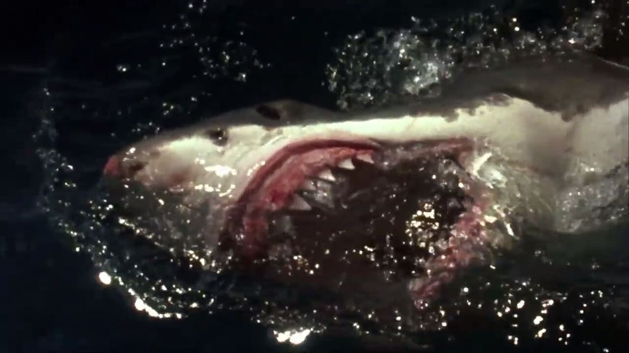 دانلود فیلم Shark Zone 2003