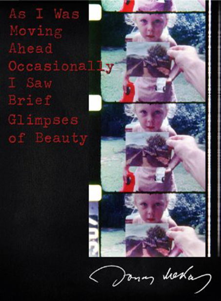 دانلود مستند As I Was Moving Ahead Occasionally I Saw Brief Glimpses of Beauty 2000